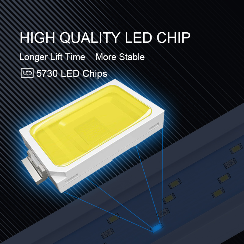 Extensible Waterproof Clip on  - Marine Aquarium Lamp reseña y precio