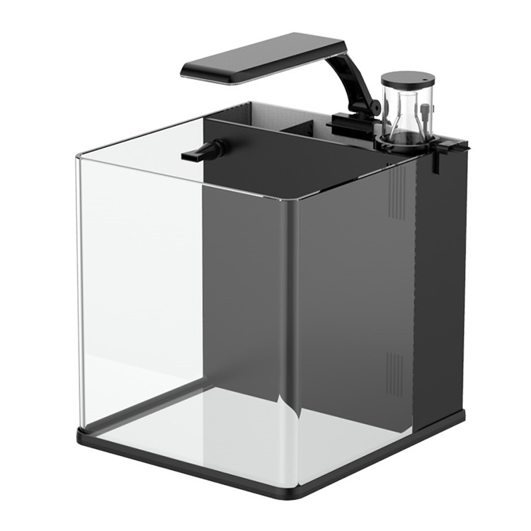 Latest Model Clear Glass Mini  - Marine Aquarium In Clearwater reseña y precio