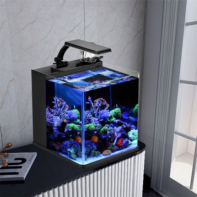 Latest Model Clear Glass Mini  - Marine Aquarium In Clearwater reseña y precio