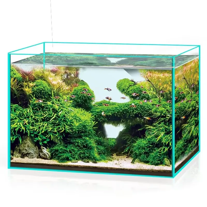 Ultra Clear Glass Aquarium Fis - Marine Aquarium In Clearwater reseña y precio