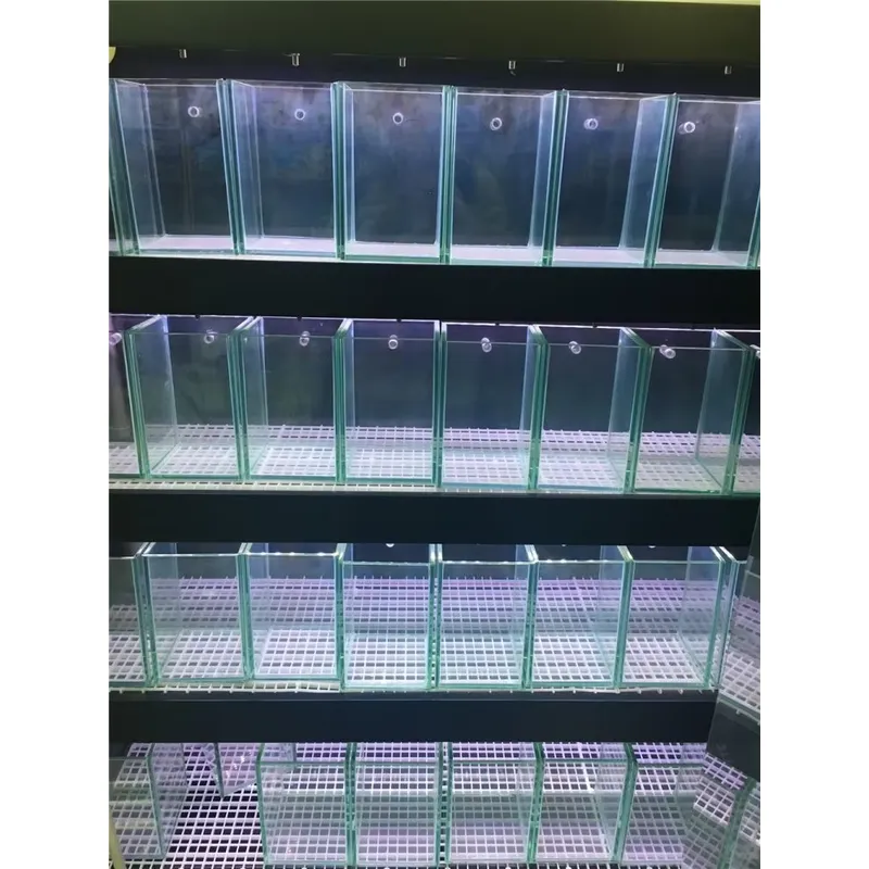 Ultra Clear Glass Aquarium Fis - Marine Aquarium In Clearwater reseña y precio