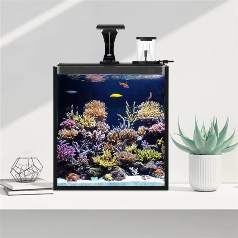 Ultra Clear Glass Mini Salt Wa - Marine Aquarium In Clearwater reseña y precio