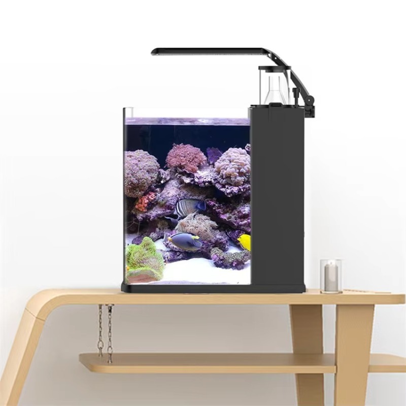 Ultra Clear Glass Mini Salt Wa - Marine Aquarium In Clearwater reseña y precio