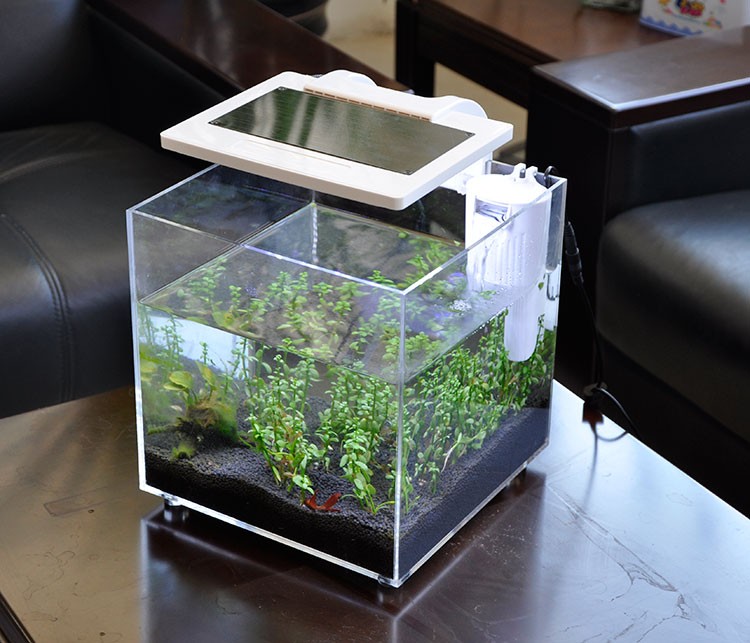 Mini Acrylic (25*25*25cm) Sale - Aquarium Marina reseña y precio