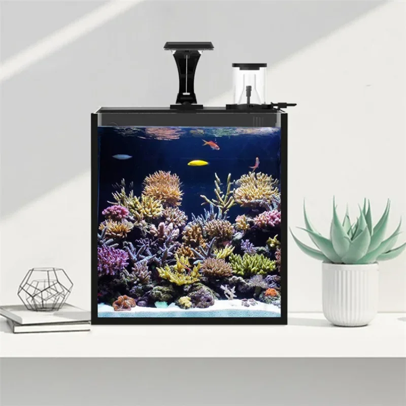 Hot sales Ultra Clear Glass Mi - Marine Aquarium In Clearwater reseña y precio
