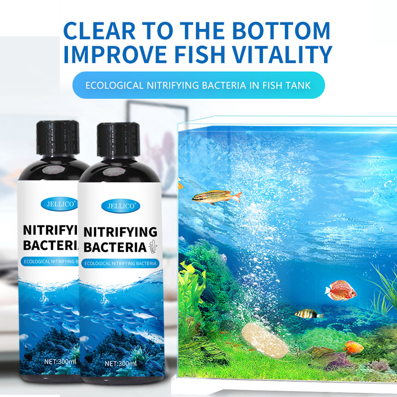 300ml Nitrifying Bacteria Aqua - Marine Aquarium In Clearwater reseña y precio