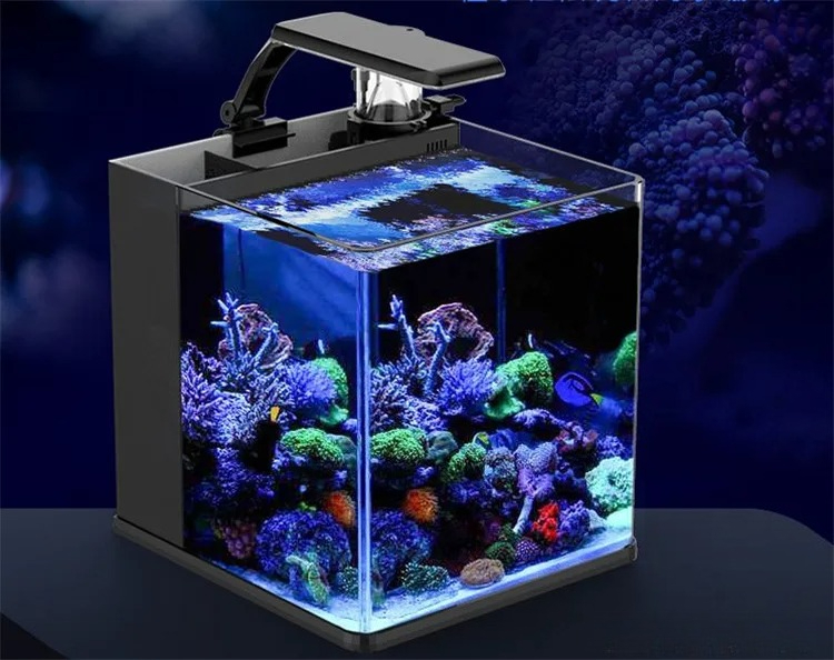 Ultra Clear Glass Mini Salt Wa - Marine Aquarium In Clearwater reseña y precio
